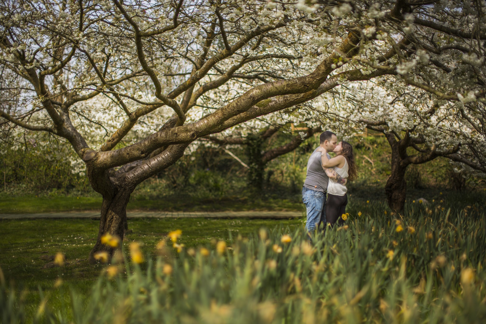 man and women hugging under a tree