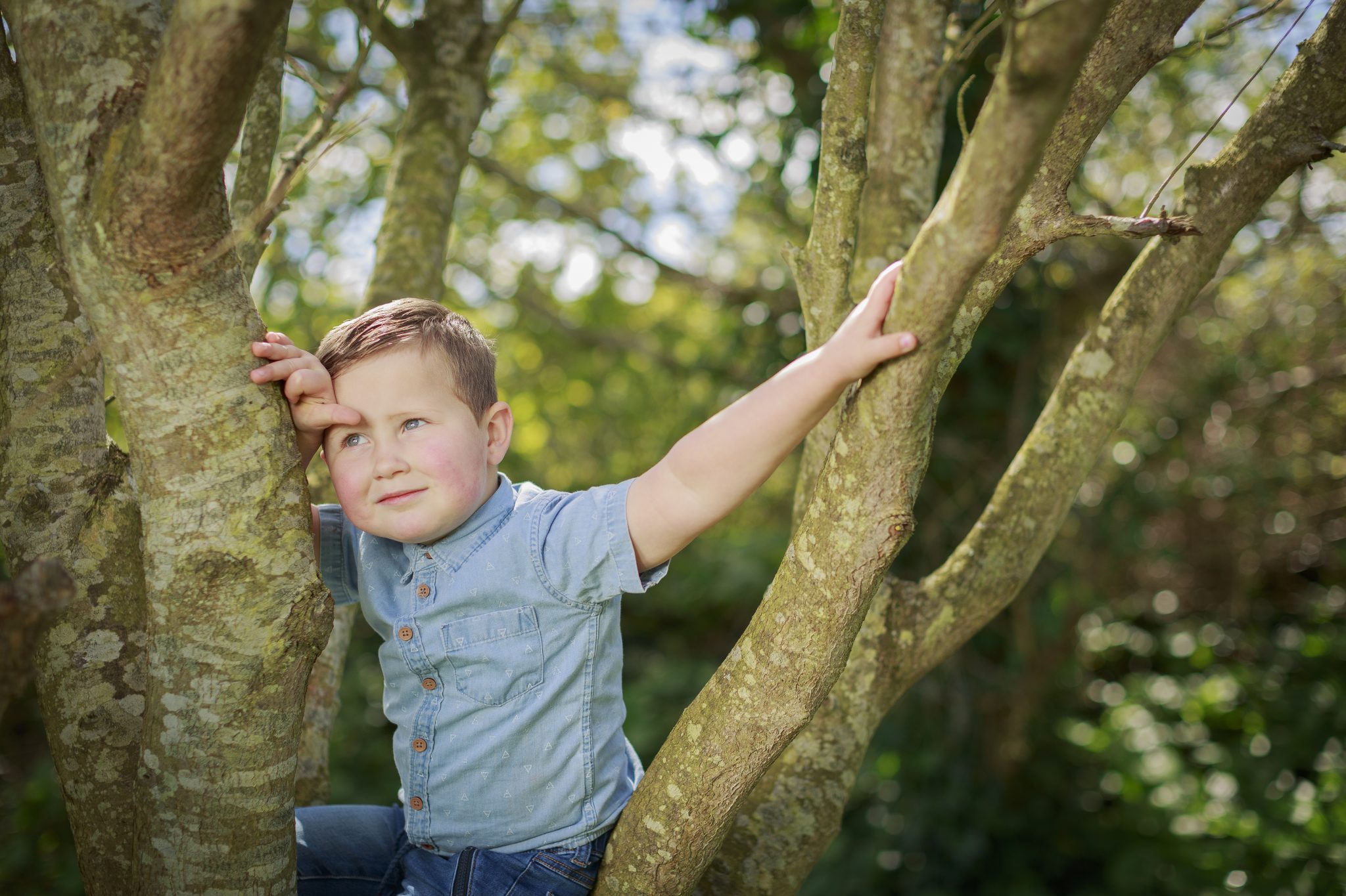 Boy sitting in a tree striking a pose | Isle of Man Photographer